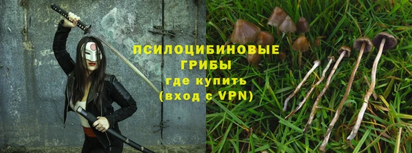 прущая мука Остров