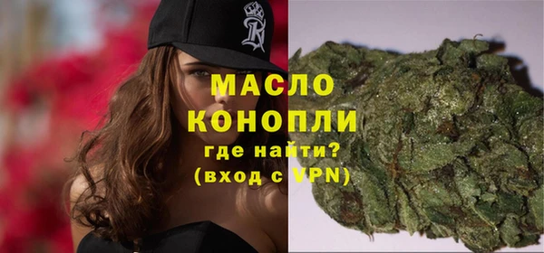 индика Сосновый Бор