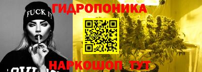 ПСИЛОЦИБИНОВЫЕ ГРИБЫ Бузулук