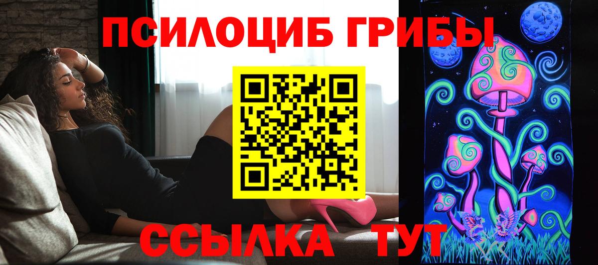 Псилоцибиновые грибы Magic Shrooms Дербент