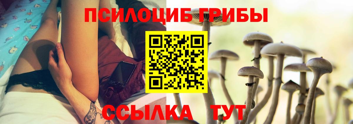 Псилоцибиновые грибы мухоморы  Дербент 