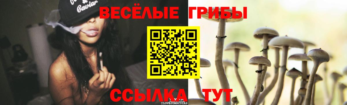 Псилоцибиновые грибы мухоморы  Псилоцибиновые грибы GOLDEN TEACHER  где найти наркотики  Дербент  Вход с VPN 