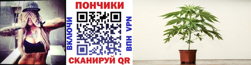 Бошки марихуана тримм  Дербент 