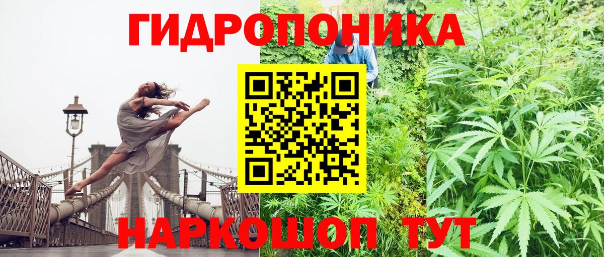 МАРИХУАНА семена  Марихуана план  МАРИХУАНА OG Kush  МАРИХУАНА VHQ  Вход с VPN  Дербент 